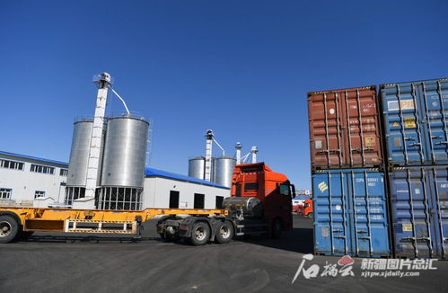 新疆粮油深加工企业依托口岸优势，以技术开发驱动产业升级