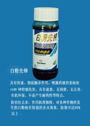 潍坊登峰有机农药技术开发 创新引领绿色农业未来